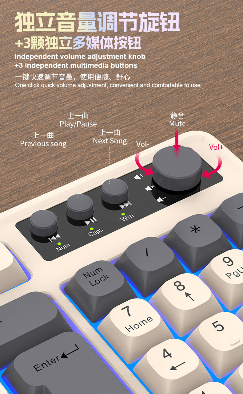RAIKU Lei Kui K98/T98 customized game keyboard and mouse suit three-color wired luminous desktop 98 keys