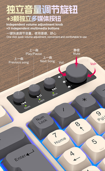 RAIKU Lei Kui K98/T98 customized game keyboard and mouse suit three-color wired luminous desktop 98 keys