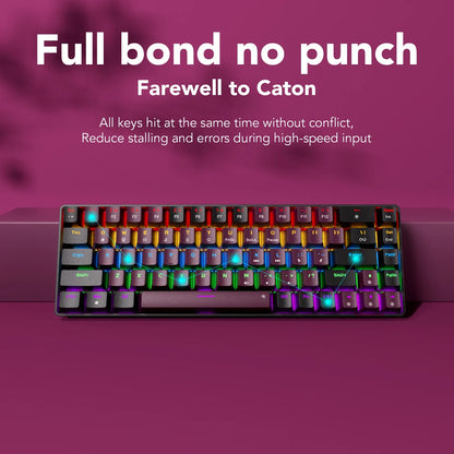 Compact Wired Gaming Mechanical Keyboard 68-Key Hot-Swappable 65% Layout LED Backlight OEM Keycaps  Support for PC