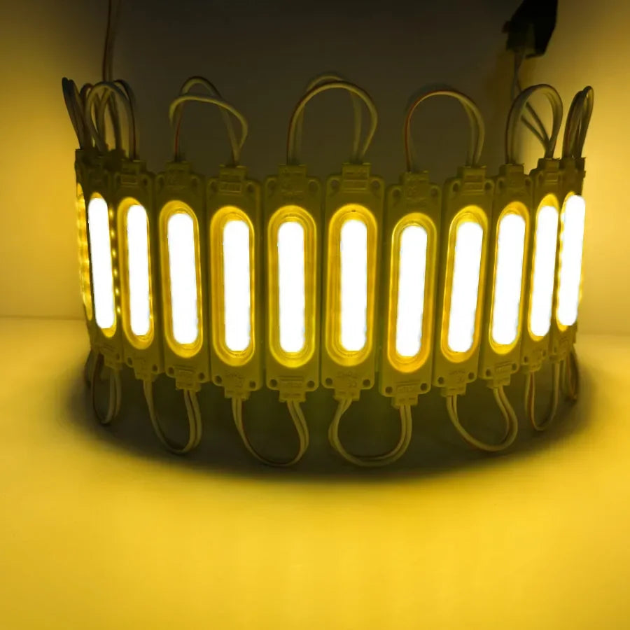 Wholesale 10PCS/lot 12V Multicolour Led Modules COB Light Backlight Shop Banner Waterproof IP65 Christmas Decorations Warm White