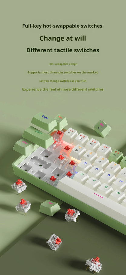 Compact Wired Gaming Mechanical Keyboard 68-Key Hot-Swappable 65% Layout LED Backlight OEM Keycaps  Support for PC
