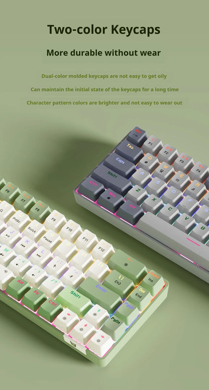 Compact Wired Gaming Mechanical Keyboard 68-Key Hot-Swappable 65% Layout LED Backlight OEM Keycaps  Support for PC